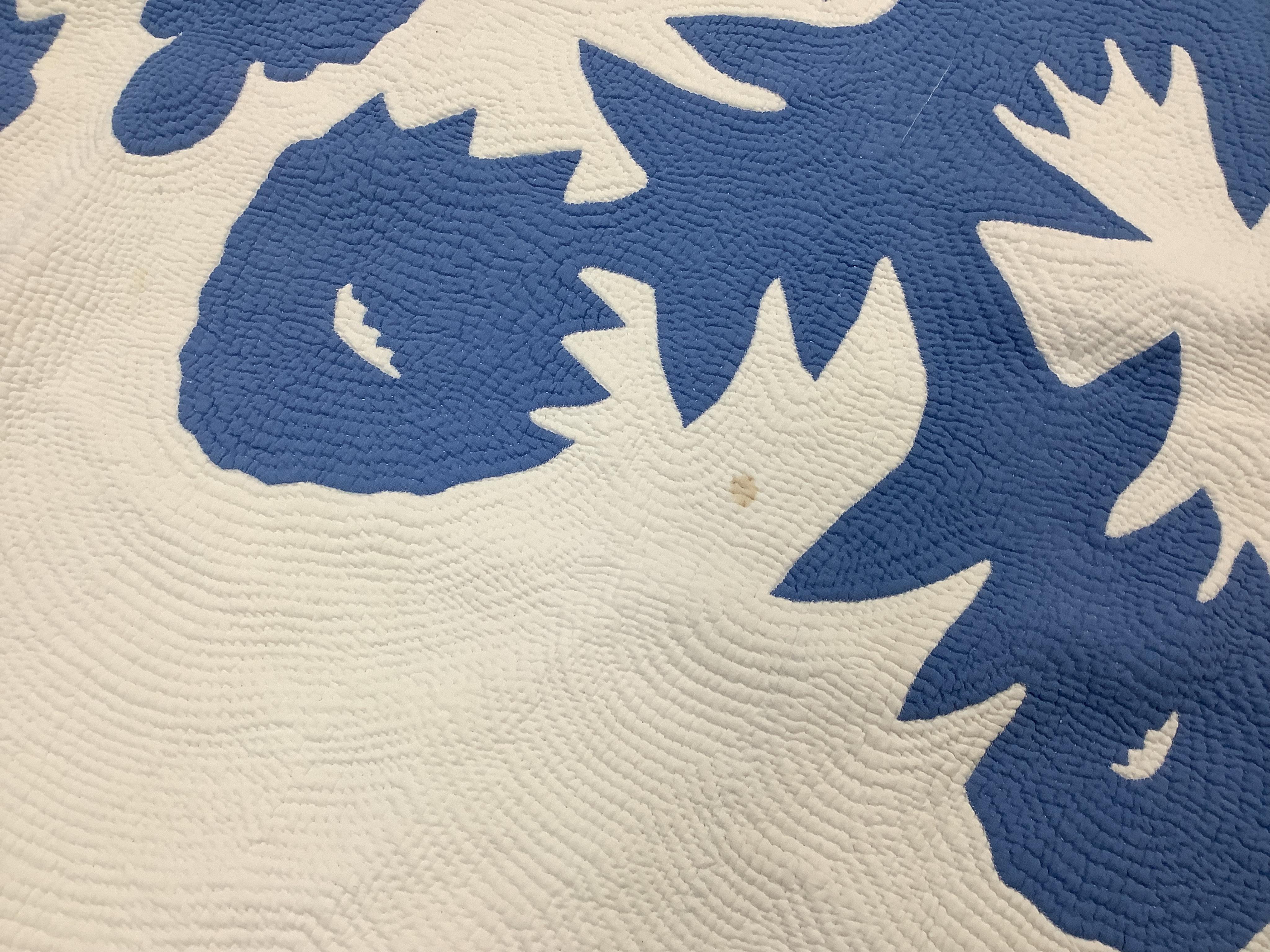 An American blue and white fringed bedcover (quilt)